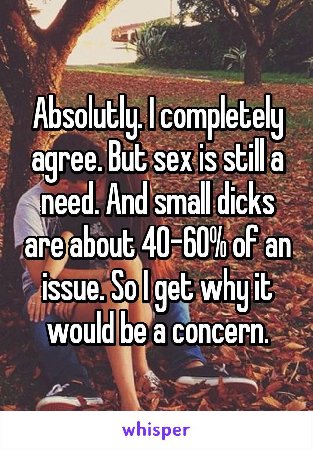 Absolutly. I completely agree. But sex is still a need. And small dicks are about 40-60% of an issue. So I get why it would be a concern.