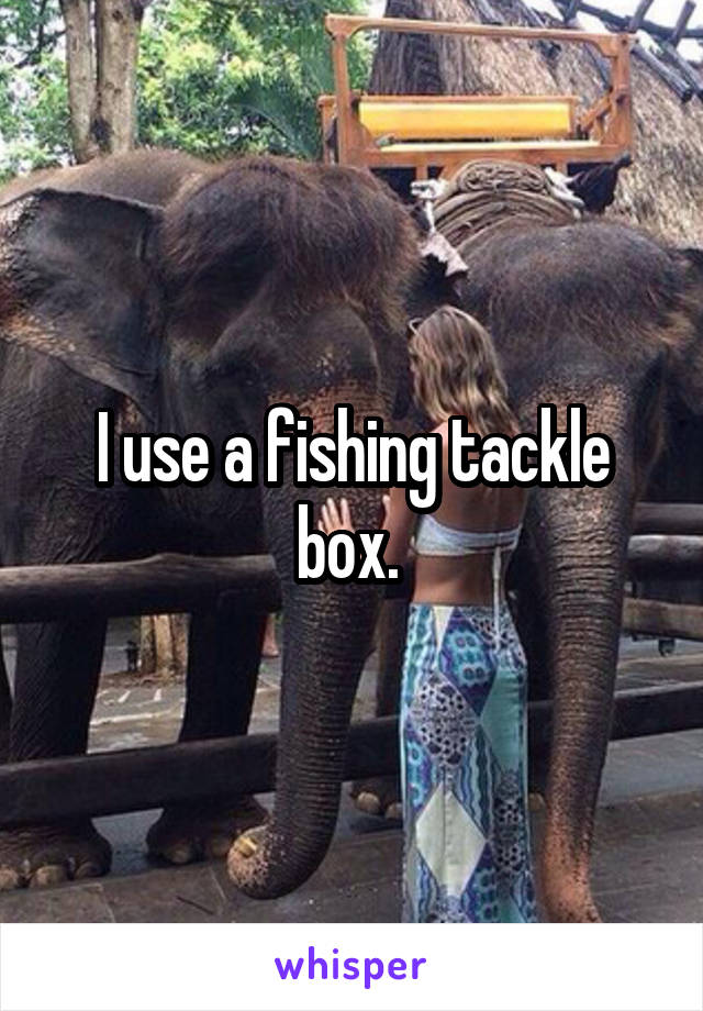 I use a fishing tackle box. 