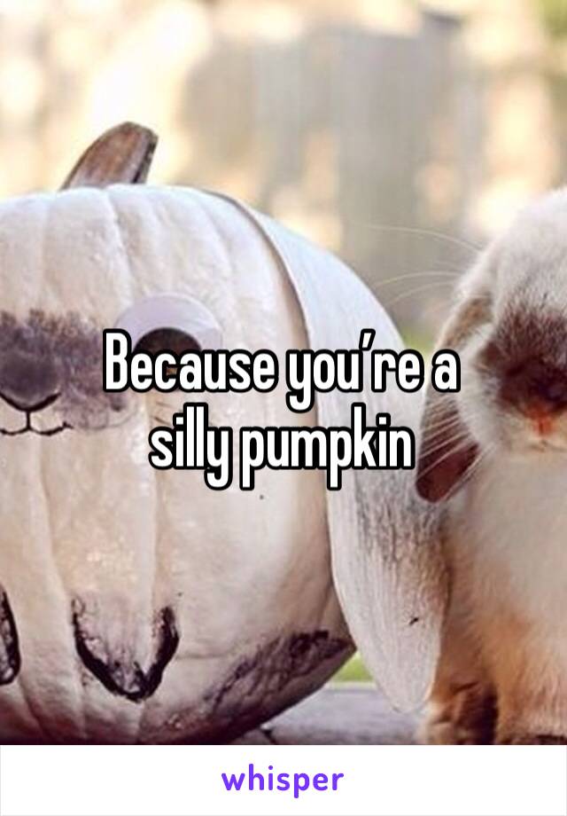Because you’re a silly pumpkin 