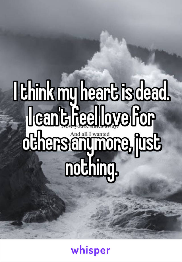I think my heart is dead. I can't feel love for others anymore, just nothing.