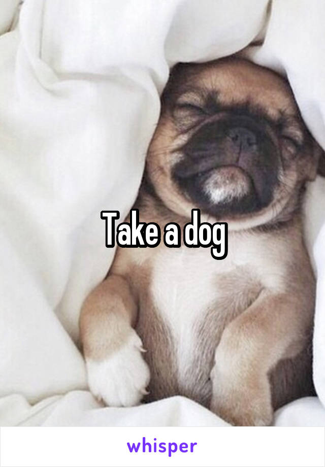 Take a dog