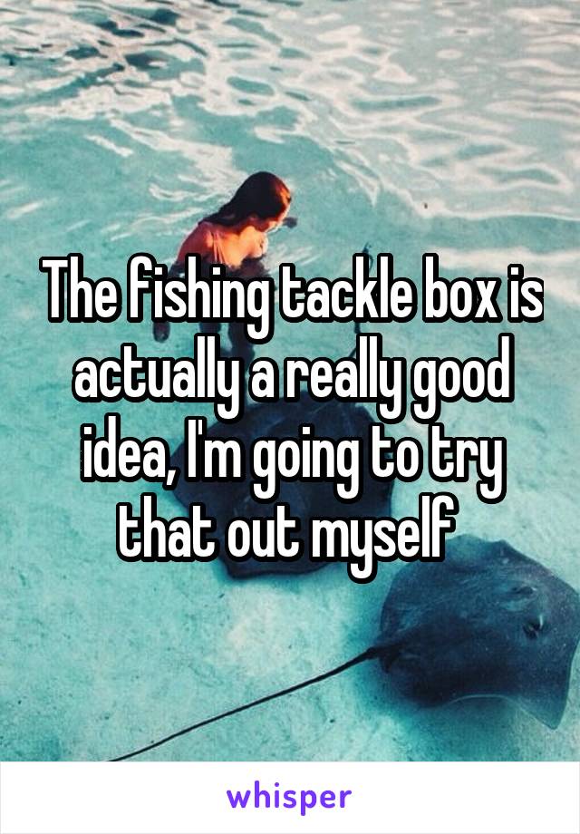 The fishing tackle box is actually a really good idea, I'm going to try that out myself 