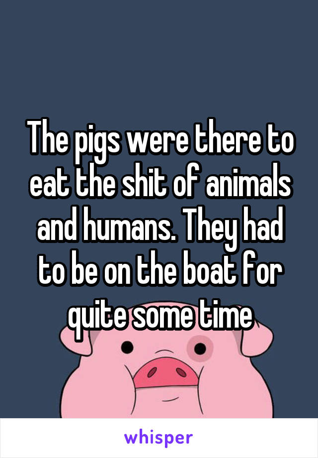 The pigs were there to eat the shit of animals and humans. They had to be on the boat for quite some time