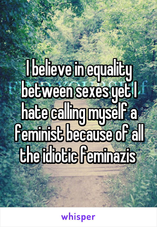 I believe in equality between sexes yet I hate calling myself a feminist because of all the idiotic feminazis 