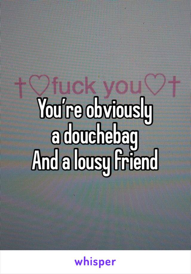 You’re obviously a douchebag 
And a lousy friend 