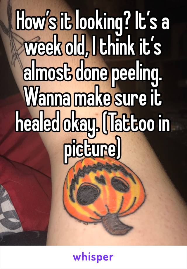 How’s it looking? It’s a week old, I think it’s almost done peeling. Wanna make sure it healed okay. (Tattoo in picture)