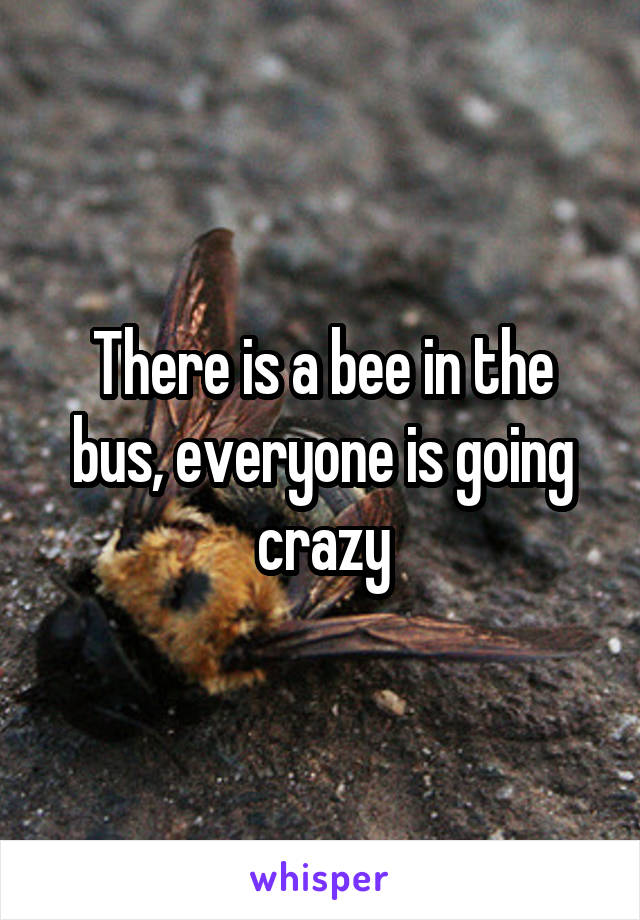 There is a bee in the bus, everyone is going crazy