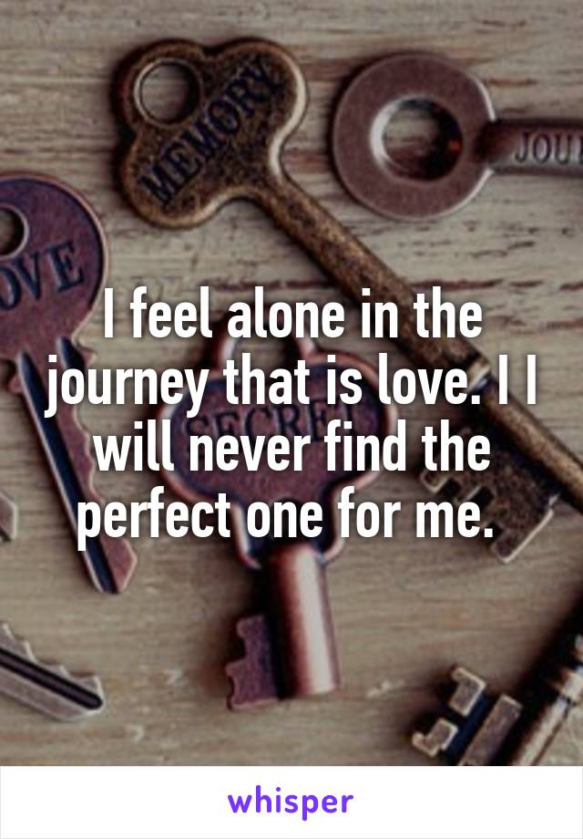 I feel alone in the journey that is love. I I will never find the perfect one for me. 