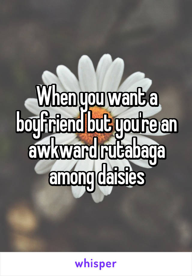 When you want a boyfriend but you're an awkward rutabaga among daisies