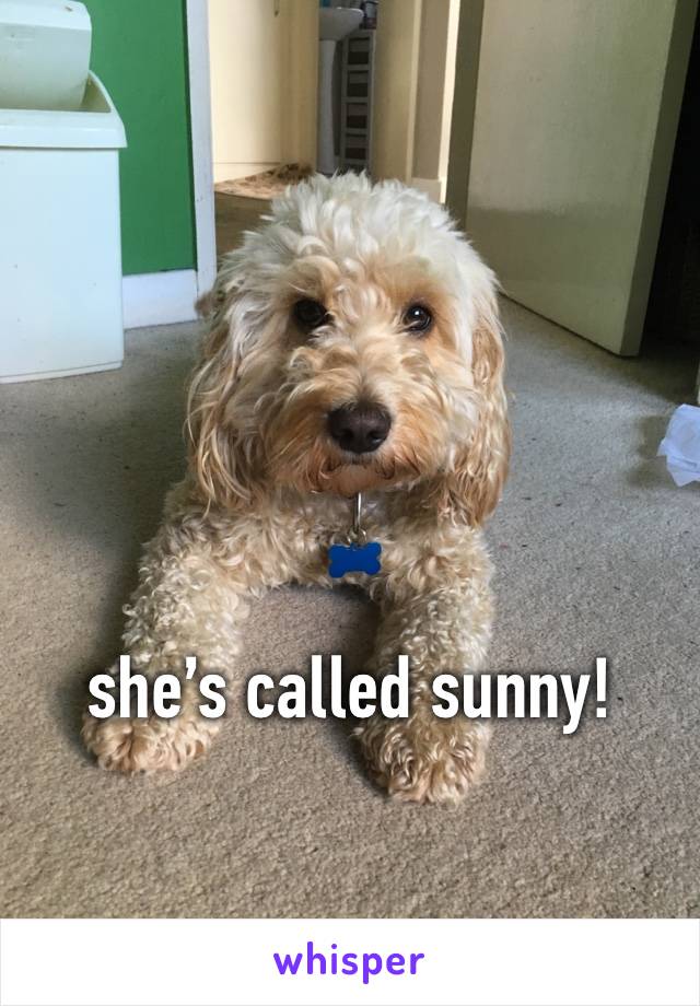 



she’s called sunny!
