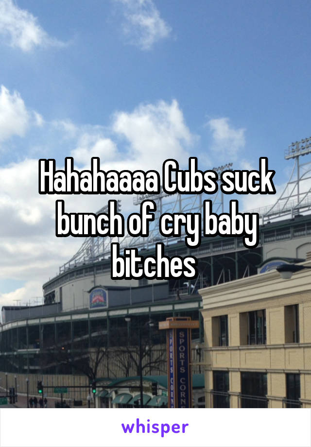 Hahahaaaa Cubs suck bunch of cry baby bitches 