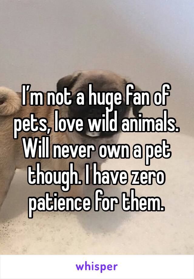 I’m not a huge fan of pets, love wild animals. Will never own a pet though. I have zero patience for them. 