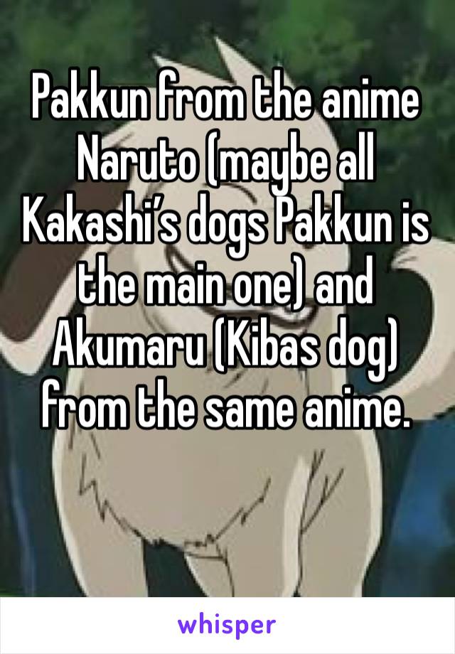 Pakkun from the anime Naruto (maybe all Kakashi’s dogs Pakkun is the main one) and Akumaru (Kibas dog) from the same anime. 