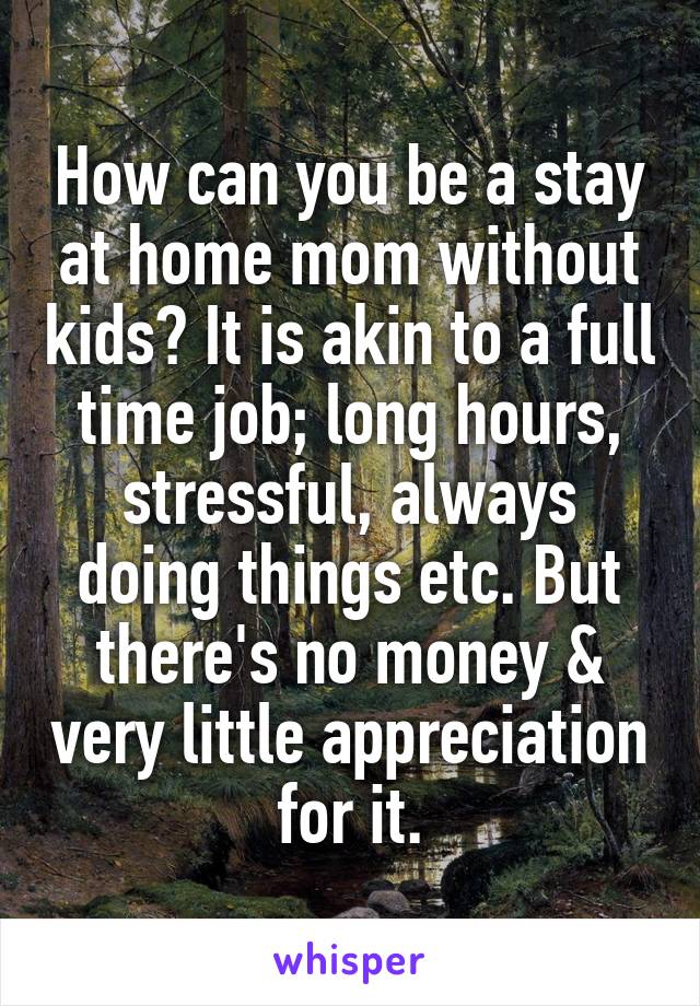 How can you be a stay at home mom without kids? It is akin to a full time job; long hours, stressful, always doing things etc. But there's no money & very little appreciation for it.