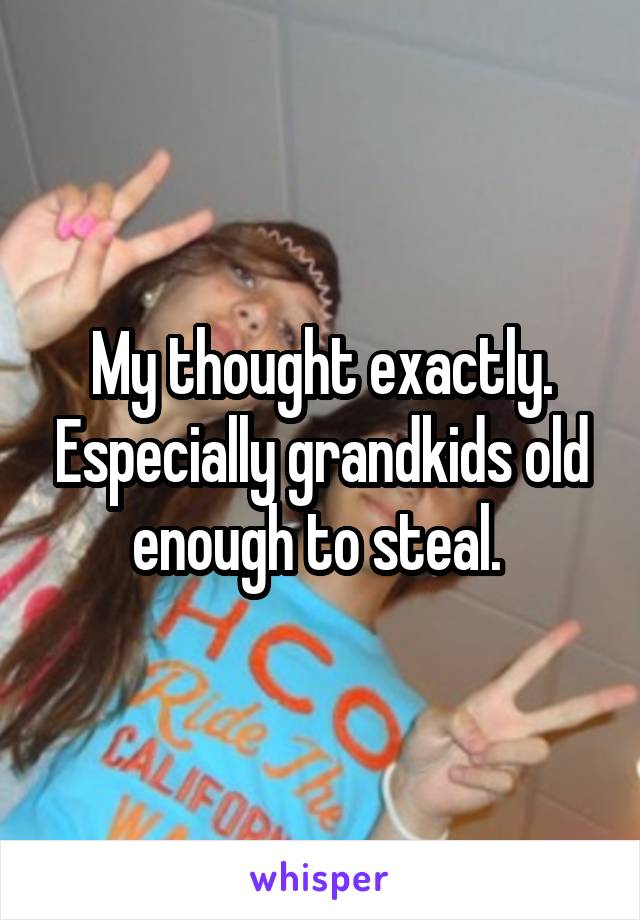 My thought exactly. Especially grandkids old enough to steal. 