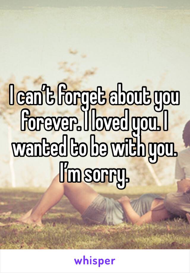 I can’t forget about you forever. I loved you. I wanted to be with you. I’m sorry. 
