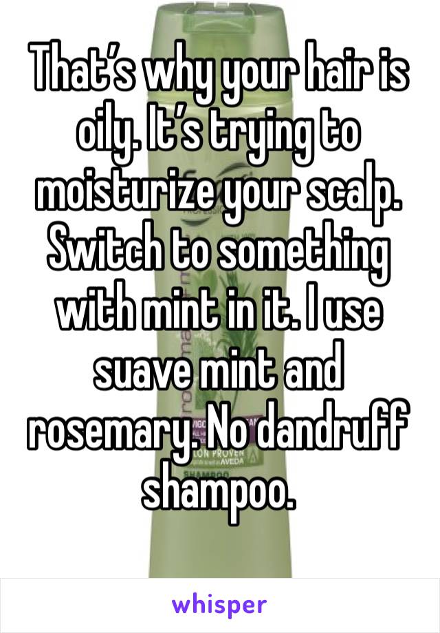 That’s why your hair is oily. It’s trying to moisturize your scalp. Switch to something with mint in it. I use suave mint and rosemary. No dandruff shampoo. 