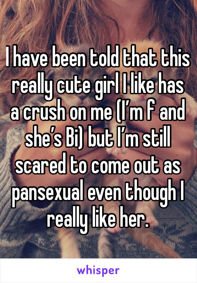 I have been told that this really cute girl I like has a crush on me (I’m f and she’s Bi) but I’m still scared to come out as pansexual even though I really like her.