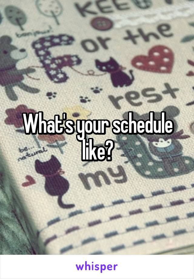 What's your schedule like?
