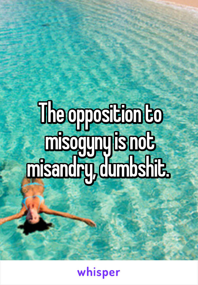 The opposition to misogyny is not misandry, dumbshit. 