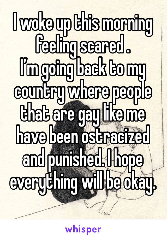I woke up this morning feeling scared .
I’m going back to my country where people that are gay like me have been ostracized and punished. I hope everything will be okay.