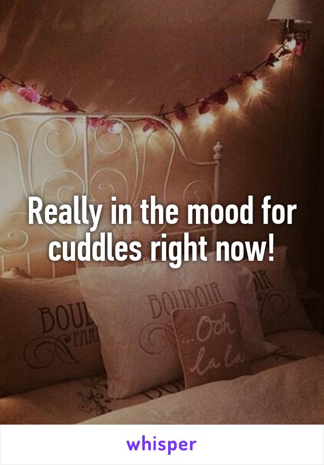 Really in the mood for cuddles right now!