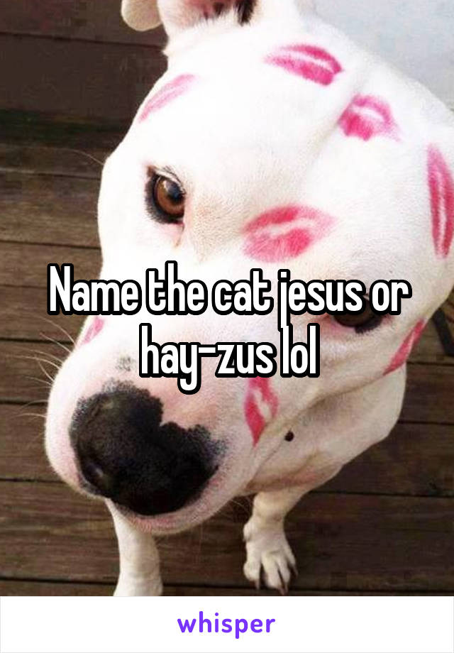 Name the cat jesus or hay-zus lol