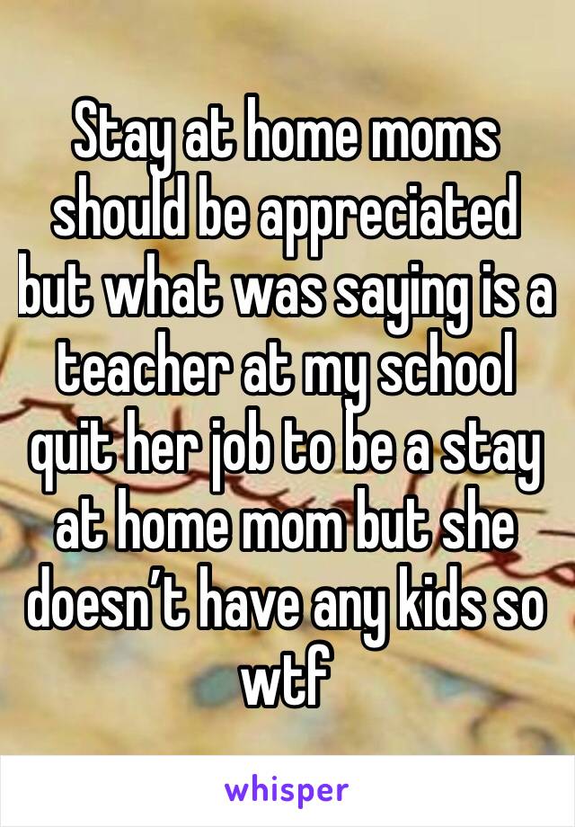 Stay at home moms should be appreciated but what was saying is a teacher at my school quit her job to be a stay at home mom but she doesn’t have any kids so wtf 