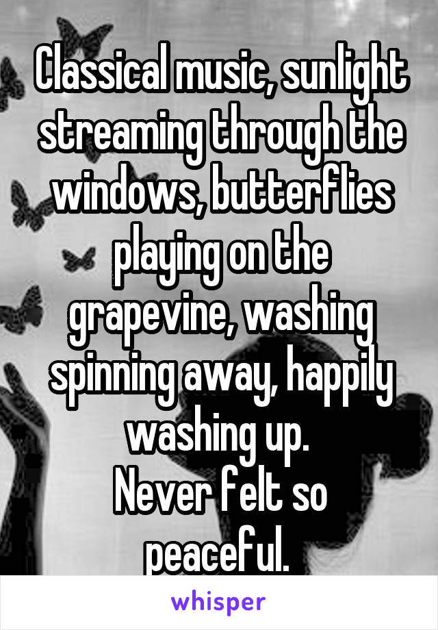 Classical music, sunlight streaming through the windows, butterflies playing on the grapevine, washing spinning away, happily washing up. 
Never felt so peaceful. 