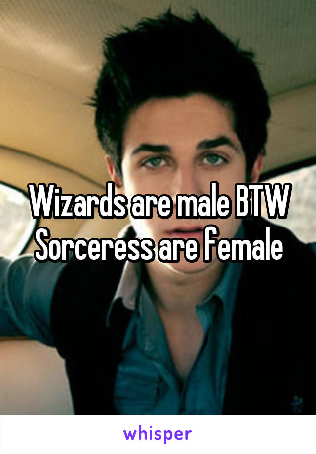 Wizards are male BTW
Sorceress are female