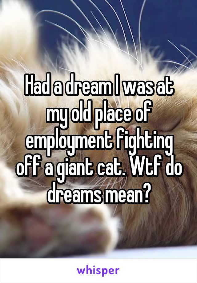 Had a dream I was at my old place of employment fighting off a giant cat. Wtf do dreams mean?