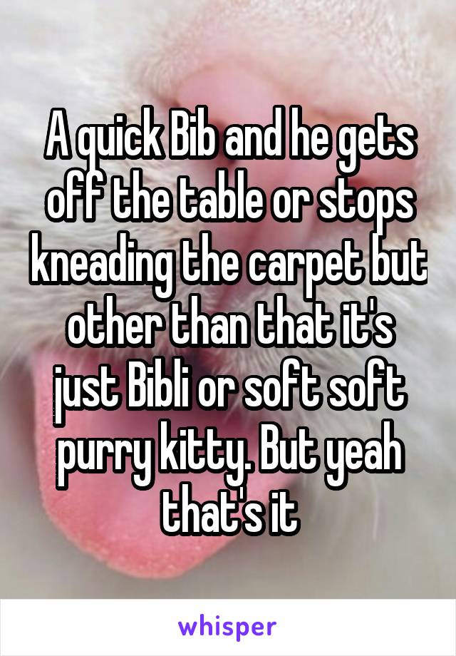 A quick Bib and he gets off the table or stops kneading the carpet but other than that it's just Bibli or soft soft purry kitty. But yeah that's it