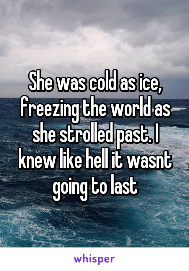 She was cold as ice, freezing the world as she strolled past. I knew like hell it wasnt going to last