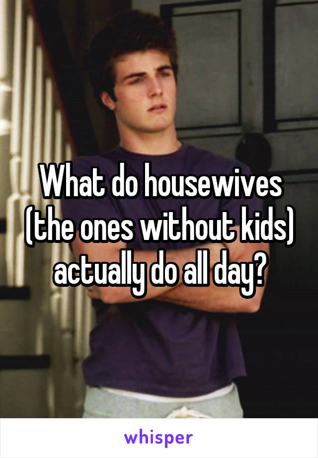 What do housewives (the ones without kids) actually do all day?