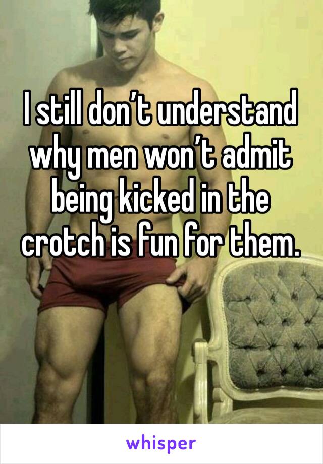 I still don’t understand why men won’t admit being kicked in the crotch is fun for them.