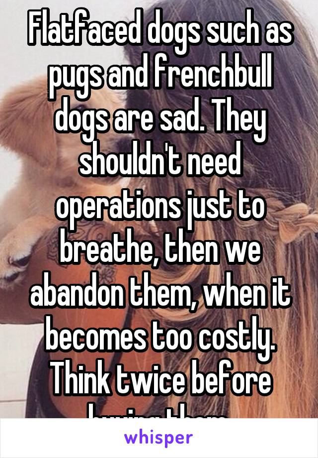 Flatfaced dogs such as pugs and frenchbull dogs are sad. They shouldn't need operations just to breathe, then we abandon them, when it becomes too costly.
Think twice before buying them.