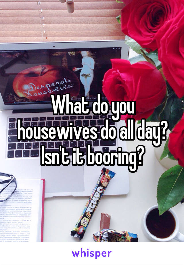 What do you housewives do all day?
Isn't it booring?