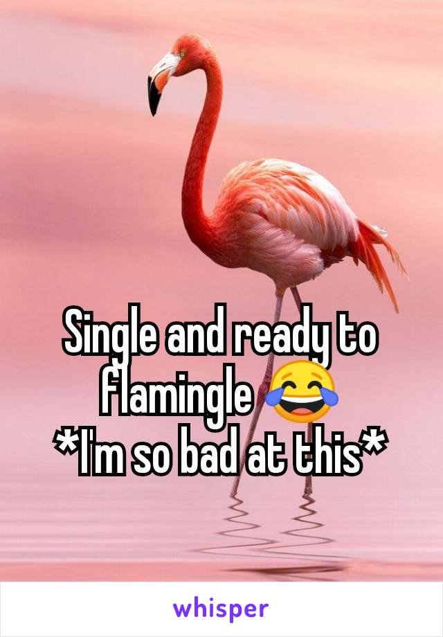 Single and ready to flamingle 😂
*I'm so bad at this*