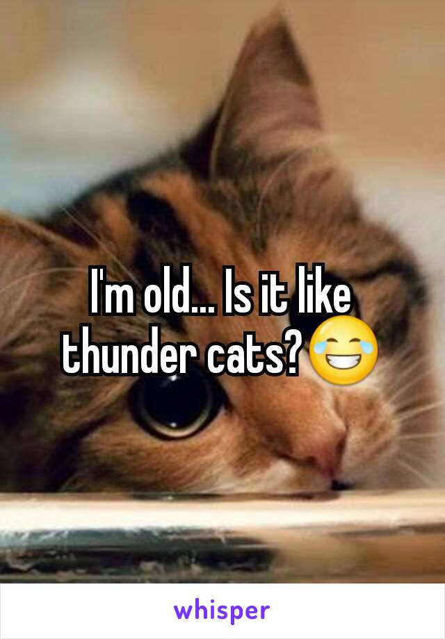 I'm old... Is it like thunder cats?😂