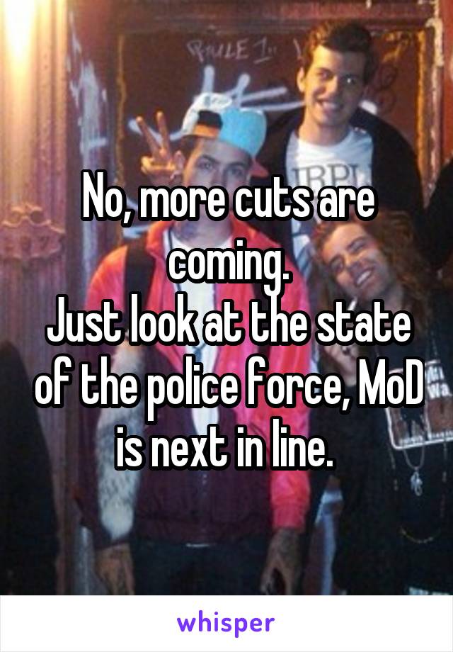 No, more cuts are coming.
Just look at the state of the police force, MoD is next in line. 