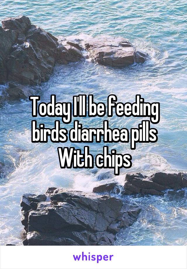 Today I'll be feeding birds diarrhea pills
With chips