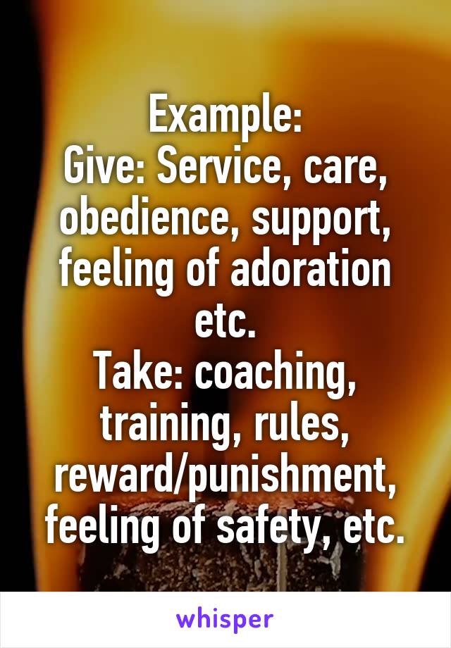 Example:
Give: Service, care, obedience, support, feeling of adoration etc.
Take: coaching, training, rules, reward/punishment, feeling of safety, etc.