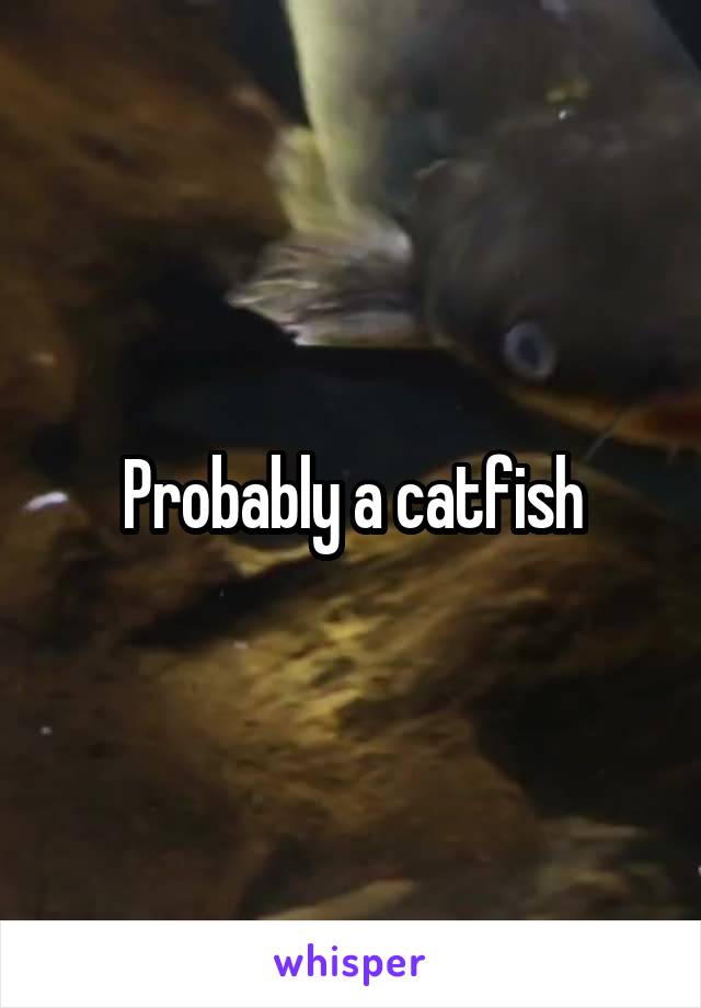 Probably a catfish