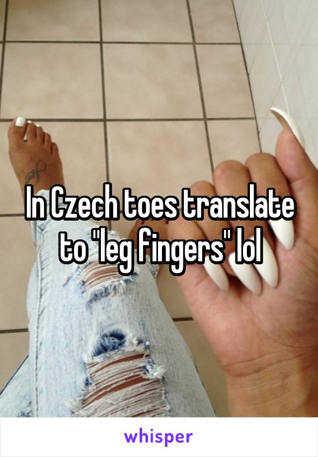 In Czech toes translate to "leg fingers" lol