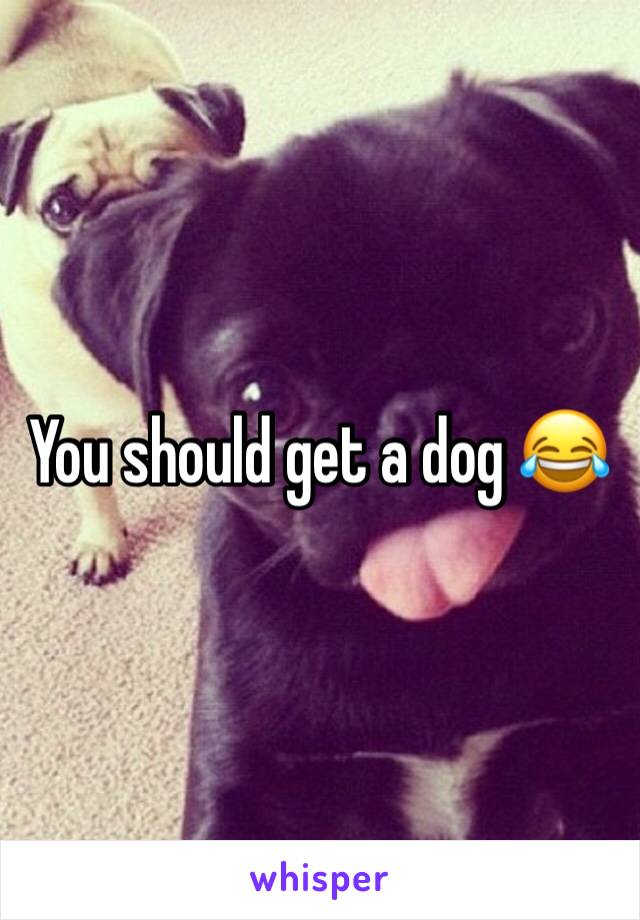 You should get a dog 😂 