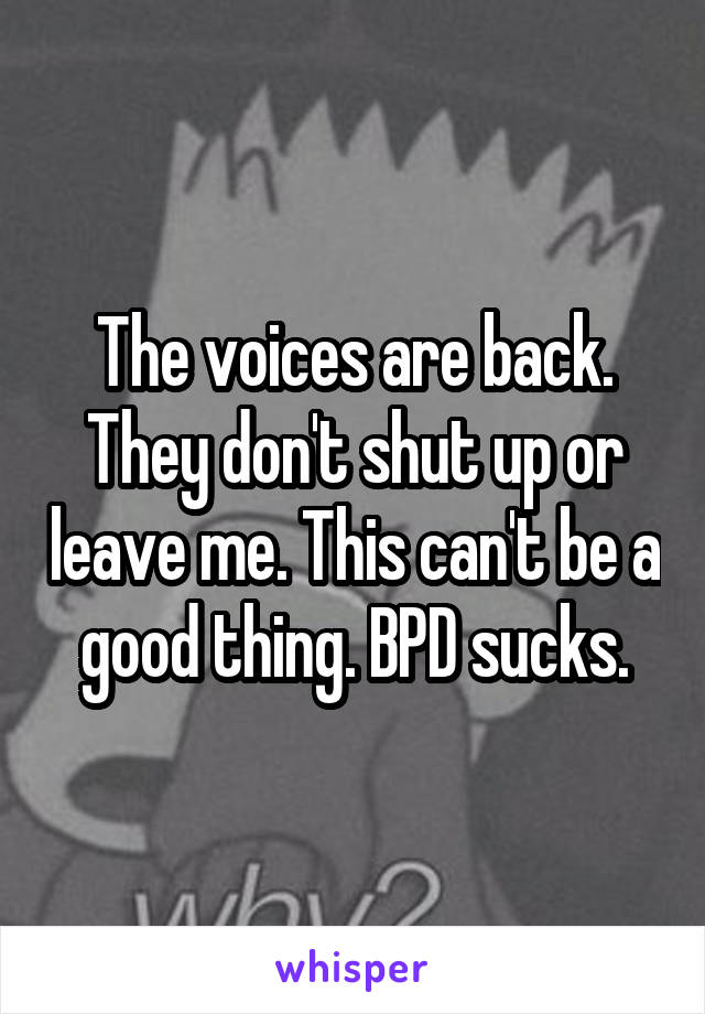 The voices are back. They don't shut up or leave me. This can't be a good thing. BPD sucks.