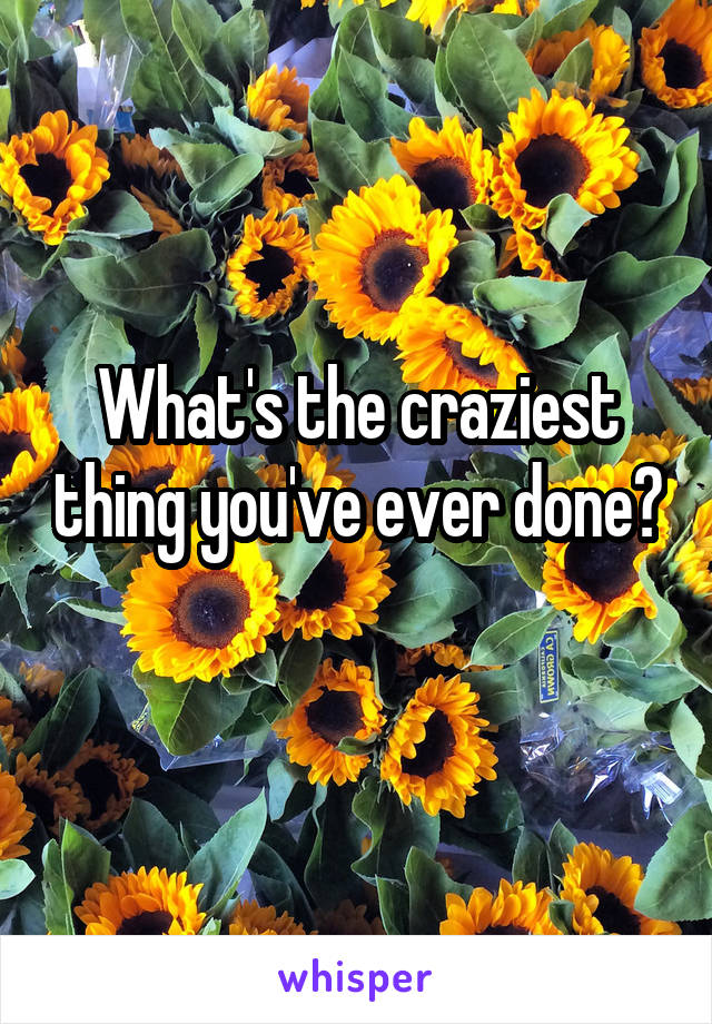 What's the craziest thing you've ever done? 