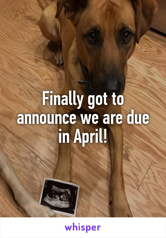Finally got to announce we are due in April!