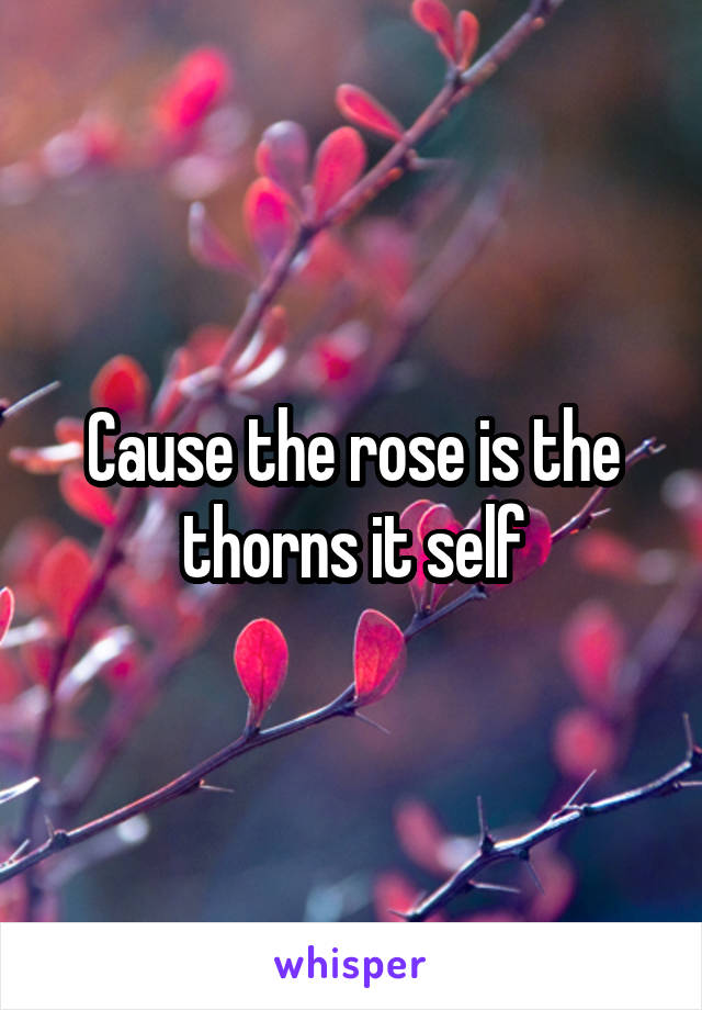 Cause the rose is the thorns it self