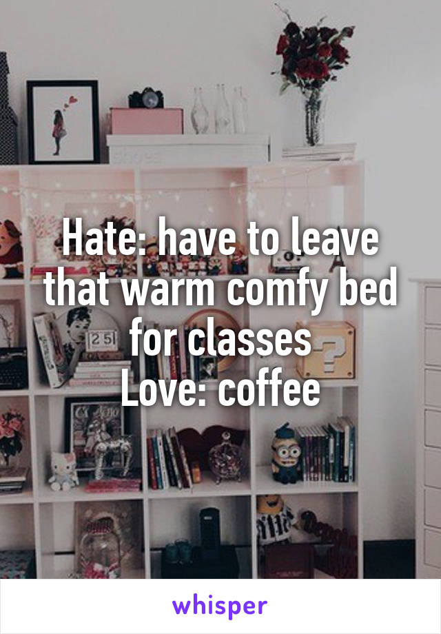 Hate: have to leave that warm comfy bed for classes
Love: coffee